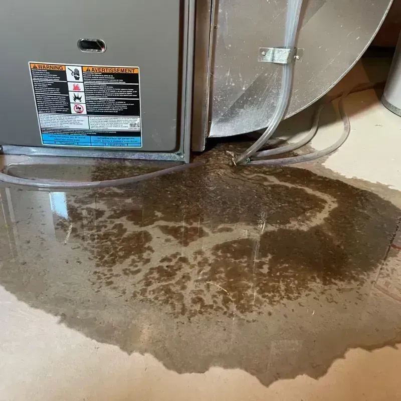 Appliance Leak Cleanup in Surgoinsville, TN